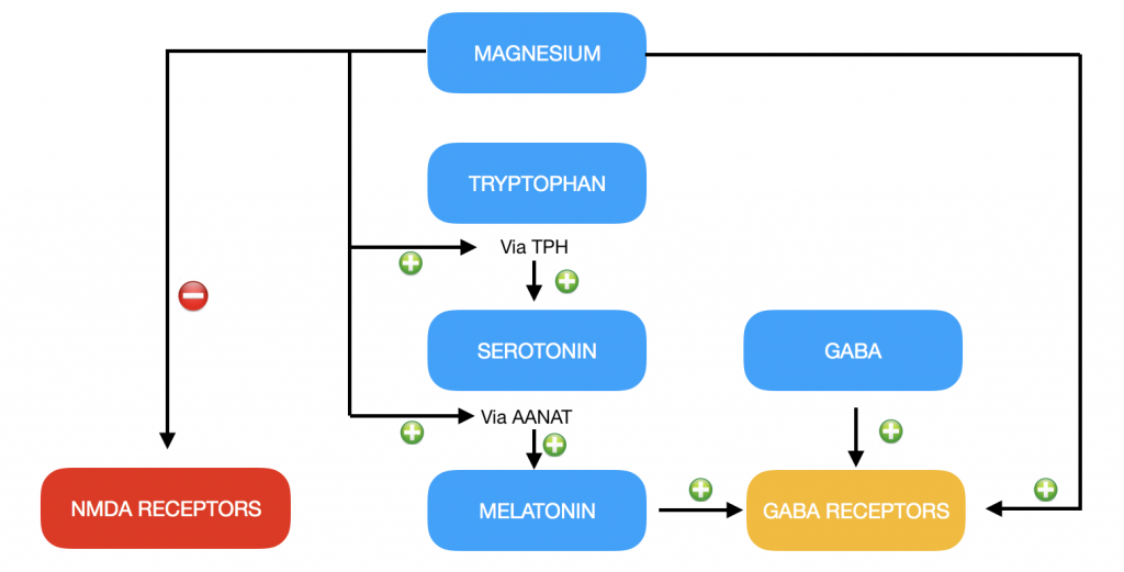 magnezyum uyku